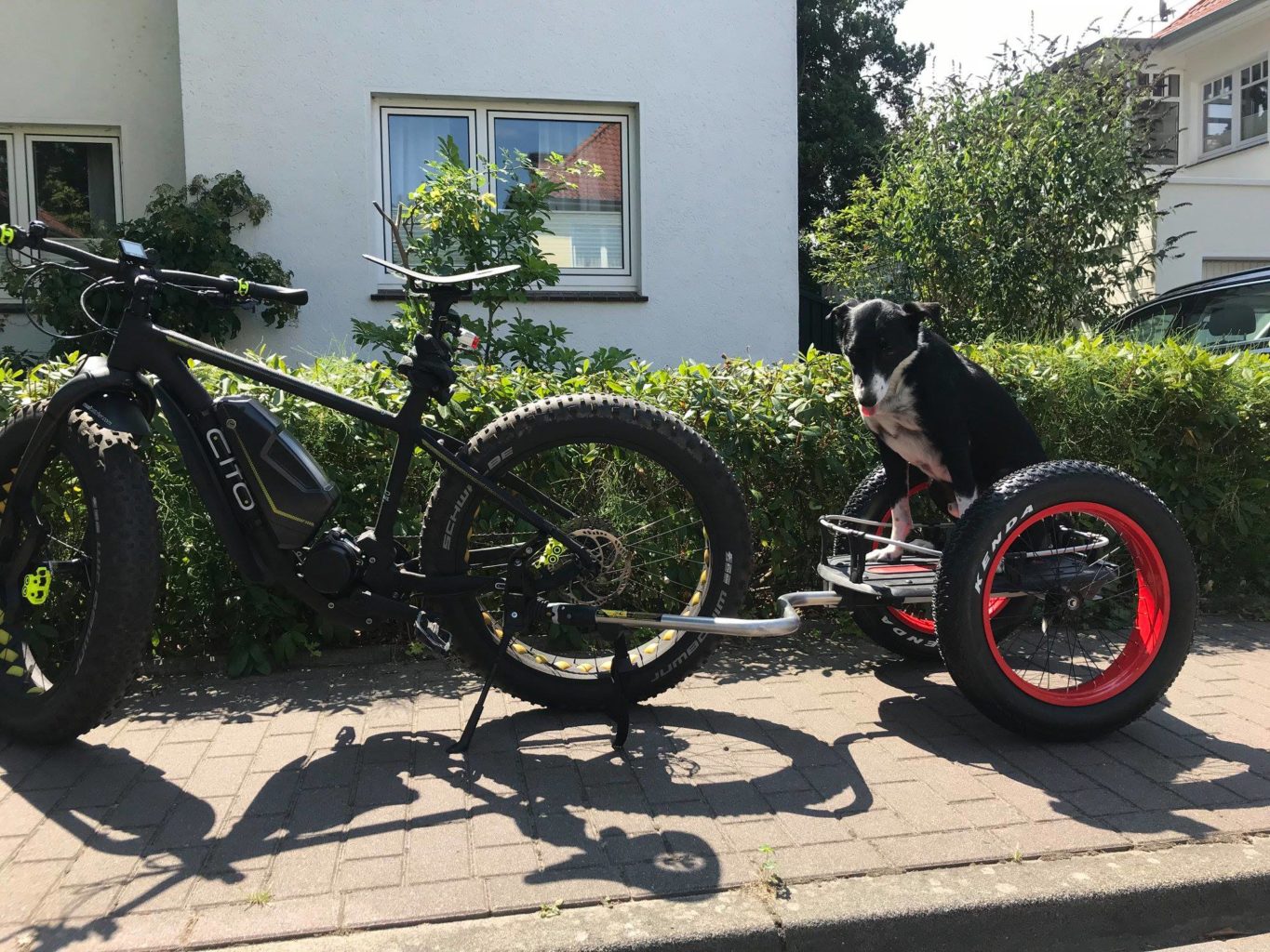 https://roland-werk.de/blog/wp-content/uploads/2018/09/fahrrad-fahren-mit-hund.jpg